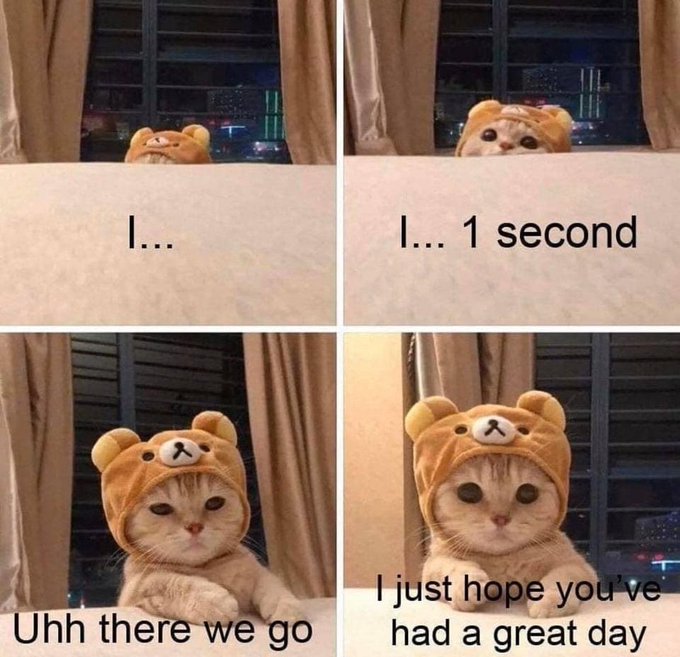 Here is a cute kitty with a special message https://t.co/wvgDIRZ1DU<a href="/tag/startrek"class="tags"><span>#startrek</span></a><a href="/tag/trekkieaccents"class="tags"><span>#trekkieaccents</span></a>