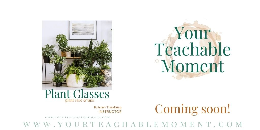Your Teachable Moment tweet media