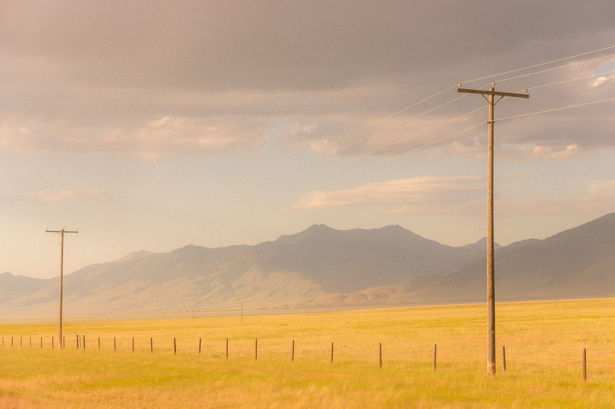 briscoepark's tweet image. GIVINGAWAY these four 12x18 CANVASES 

Must retweet and be following me to enter!