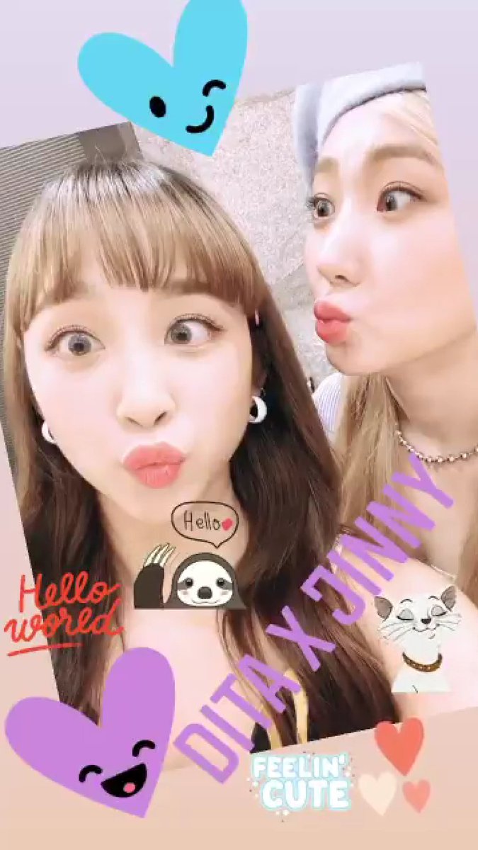 bigbirdjinny's tweet image. Lg sadar ternyata disini ada sticker kucing buat Jinny ama kukang (sloth) buat Dita. Ini jawaban mereka pas ada yg tanya kalian mirip hewan apa di VLIVE wkwkw

#SECRETNUMBER 
#SECRET_NUMBER 
#100DaysWithSecretNumber
