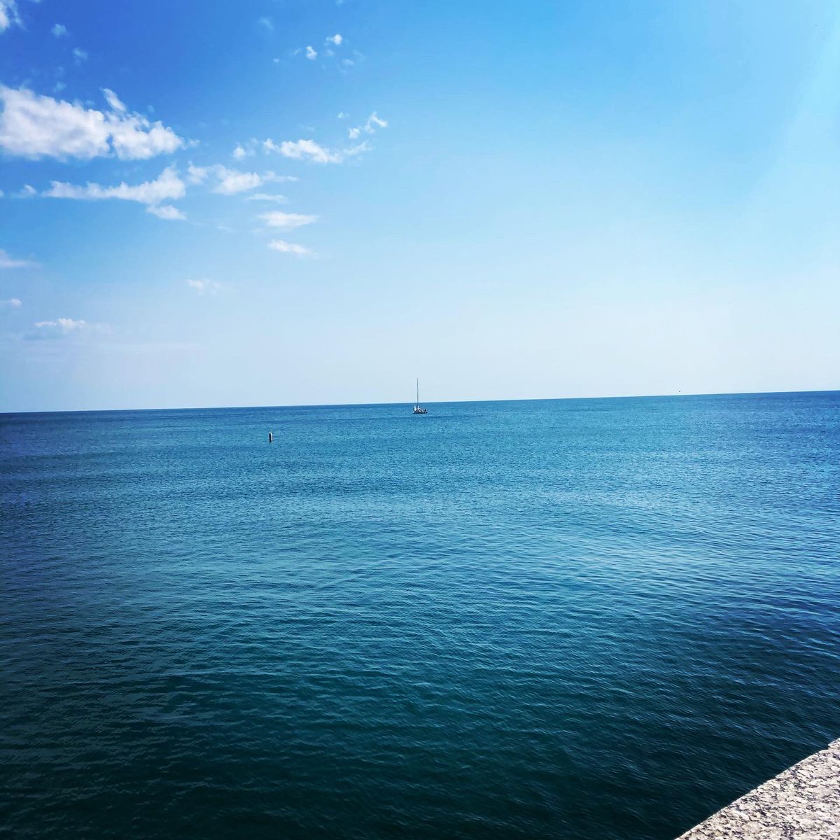 TCLF68's tweet photo. Yesterdayโs OWS Lake Michigan @ChicagoTri Virtual Swim. #chitrivirtual @InkWattie @WattieInk @zealiosskincare @Herbalife24 https://t.co/OmNeFVJCme