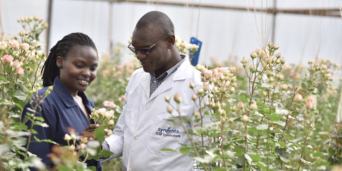 SyngentaOCKE's tweet photo. Flower Growers, what do you know about #adjuvants?
In our All About Adjuvants VIDEO, you will learn all about what goes into formulations and how you can maximise your applications using adjuvants
Tap the link > https://t.co/8VrvK9EwDJ https://t.co/VnOpd53ixA