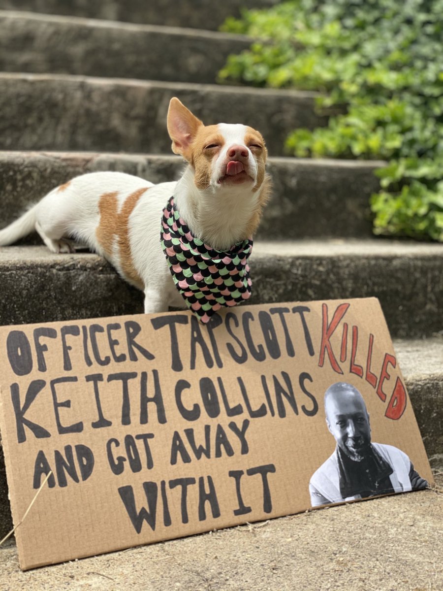 BarkyBo's tweet photo. Yesterday DA #lorrinfreeman let #officertapscott off the hook for killing #keithcollins.
You shouldn't be able to shoot a mentally disabled man who wasn't threatening anyone & get away with it.
https://t.co/OdERWZA3w9
#blm #blacklivesmatter #raleighprotest #RaleighDemandsJustice https://t.co/x0lLwwP0GK