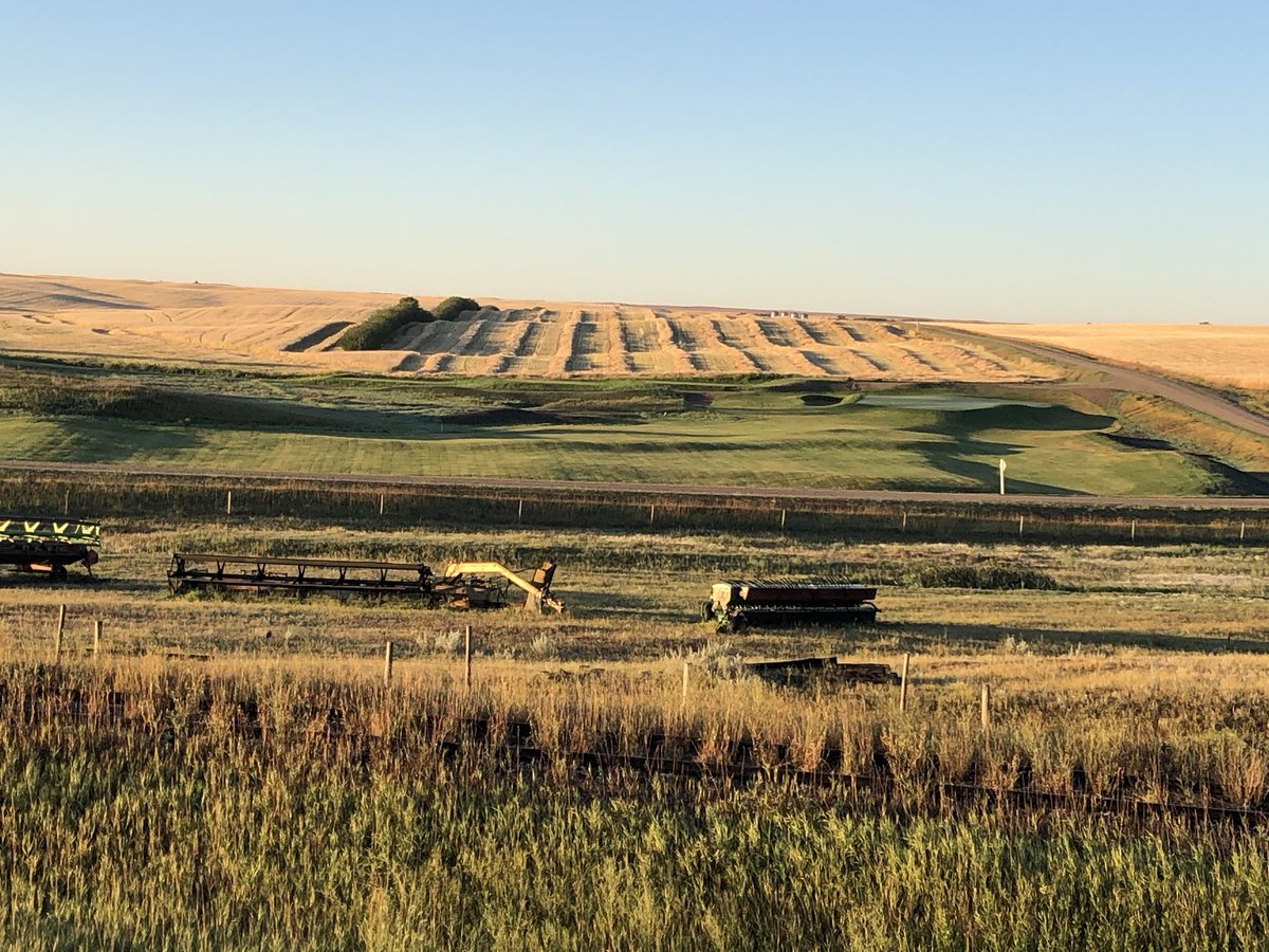 I think this embodies the province of Saskatchewan. Farming, trains and golf. A symbiotic relationship! #Rosetowngolfclub#@Dormerdesigns#OldWorldGolfCompany
