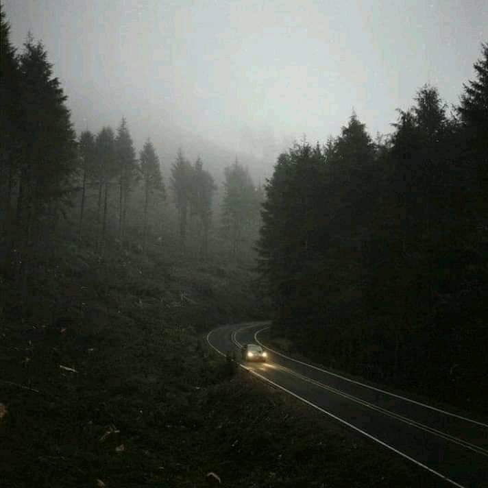 CharlieDof93's tweet photo. I 𝖺𝗆 𝗂𝗇 𝗅𝗈𝗏𝖾 𝗐𝗂𝗍𝗁 𝖺 𝖼𝗈𝗅𝖽 𝗐𝖾𝖺𝗍𝗁𝖾𝗋 💙🌫️ https://t.co/RNAfZ5ovcp