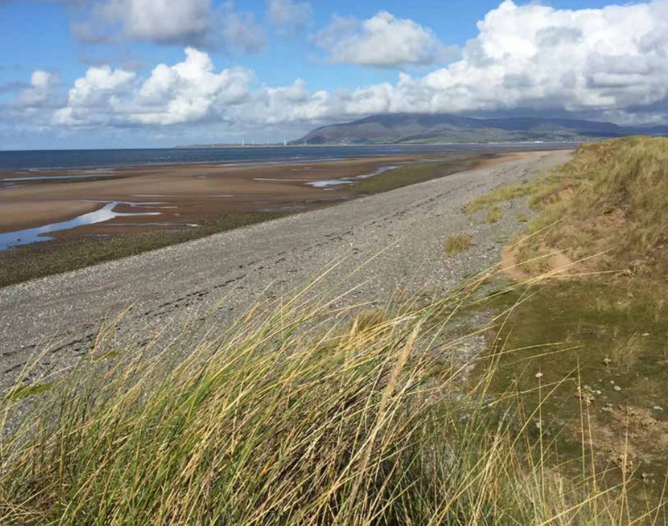 SouthLakelandDC's tweet photo. Pioneering partnership between three councils to release untapped economic potential around #MorecambeBay through investment in culture moves forward https://t.co/ZhHB7aWgR8 #CulturalCompact
@BarrowCouncil @LancasterCC @ace_national @DCMS @edenproject North @windermerejetty https://t.co/z7aMuZDC4g