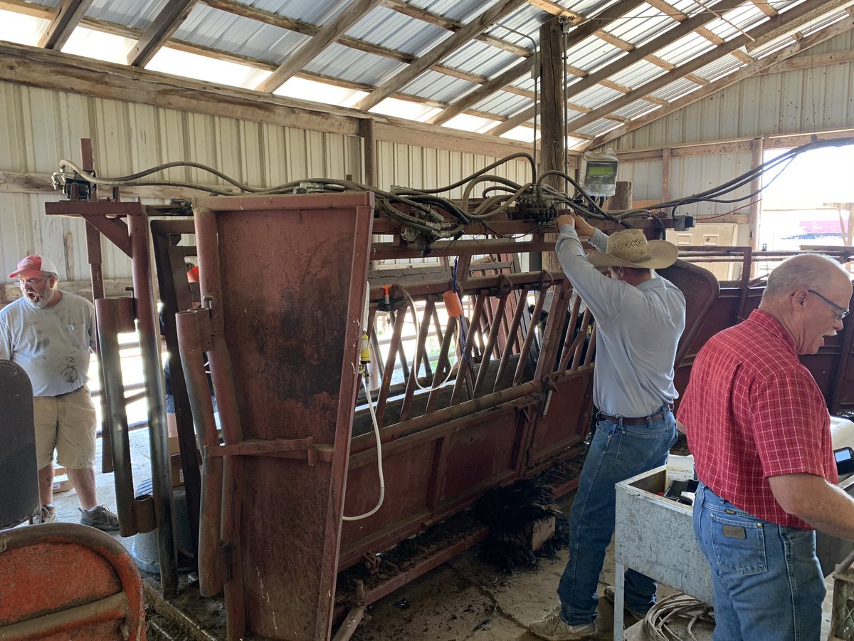 FHBeeffest's tweet photo. Unfortunately the only event we could pull off this year was the cattle contest. Results are being finalized and will be posted early next week. Thanks for all the support! #eatbeef https://t.co/pyhtskYzaF