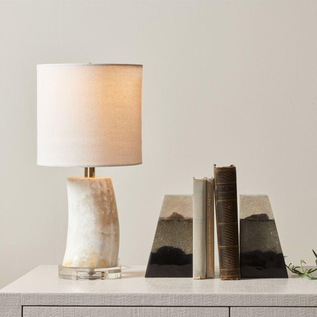 Whitney Evans Ltd. tweet media