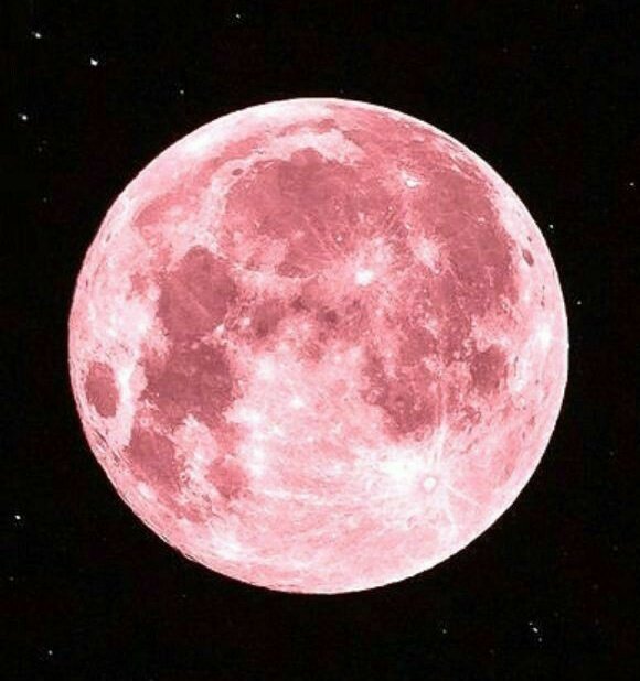 Pink moon