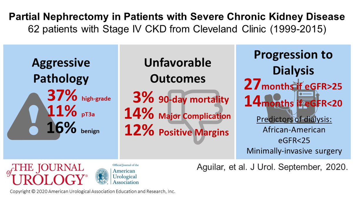 Journal of Urology (@jurology) on Twitter photo Is partial nephrectomy worthwhile for patients w severe CKD?
data from <a href="/SCampbellMDPhD/">Steve Campbell, MD, PhD</a> <a href="/CleClinicUro/">Cleveland Clinic Urology</a>
balances oncologic, perioperative and renal functional outcomes
ow.ly/yfkX50B9uuD #kidneycancer #kcsm Is partial nephrectomy worthwhile for patients w severe CKD?
data from <a href="/SCampbellMDPhD/">Steve Campbell, MD, PhD</a> <a href="/CleClinicUro/">Cleveland Clinic Urology</a>
balances oncologic, perioperative and renal functional outcomes
ow.ly/yfkX50B9uuD #kidneycancer #kcsm