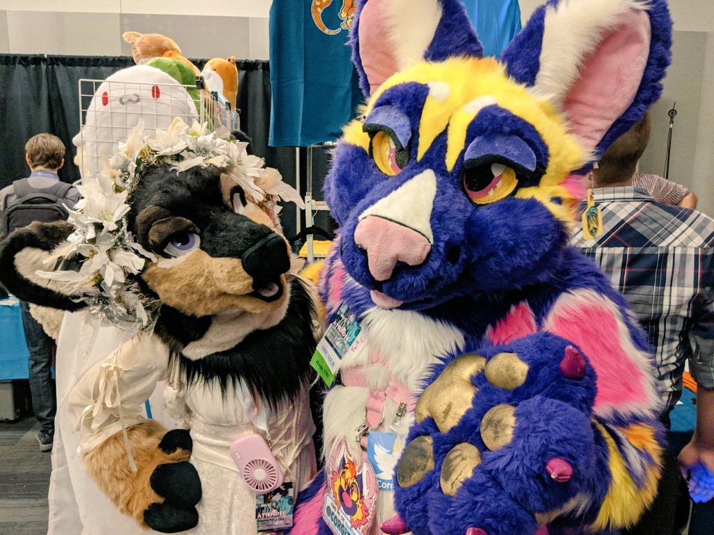 Corgizilla's tweet photo. Happy #fursuitfriday ! 
I have so many cool as heck @C_F_Studios suit siblings!
@SerlingPancan @RubyVegasDurgen @SprinkleClaws 
💖💖💖 https://t.co/ttAFH0UkYZ