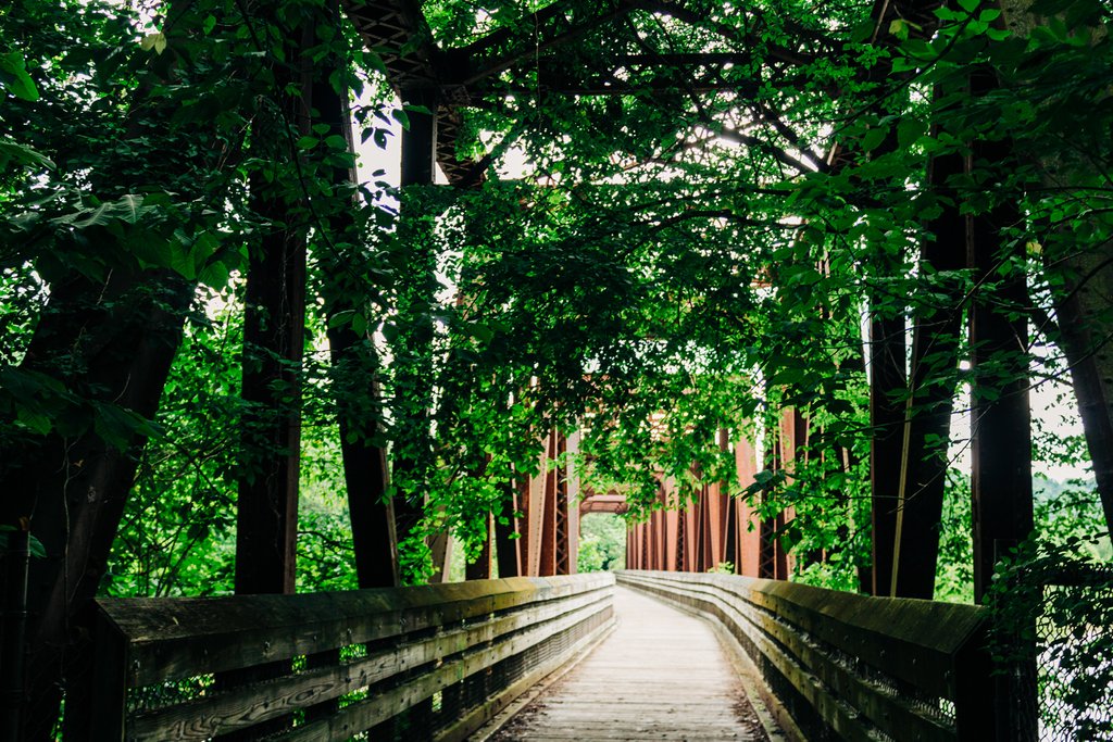 Visit Lynchburg VA tweet media