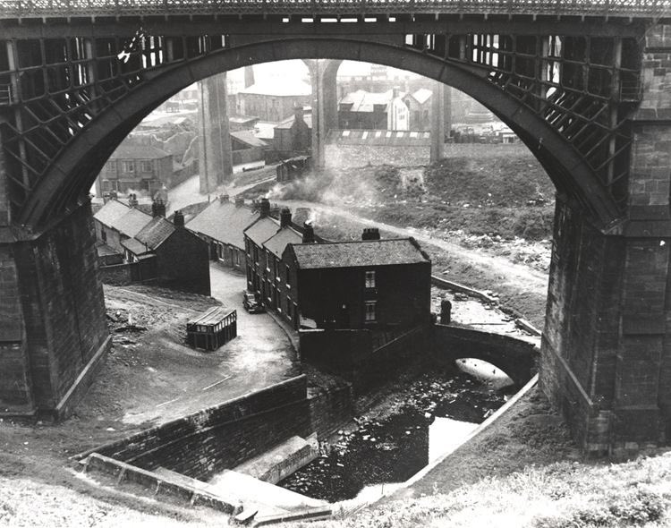 Dan Jackson tweet media