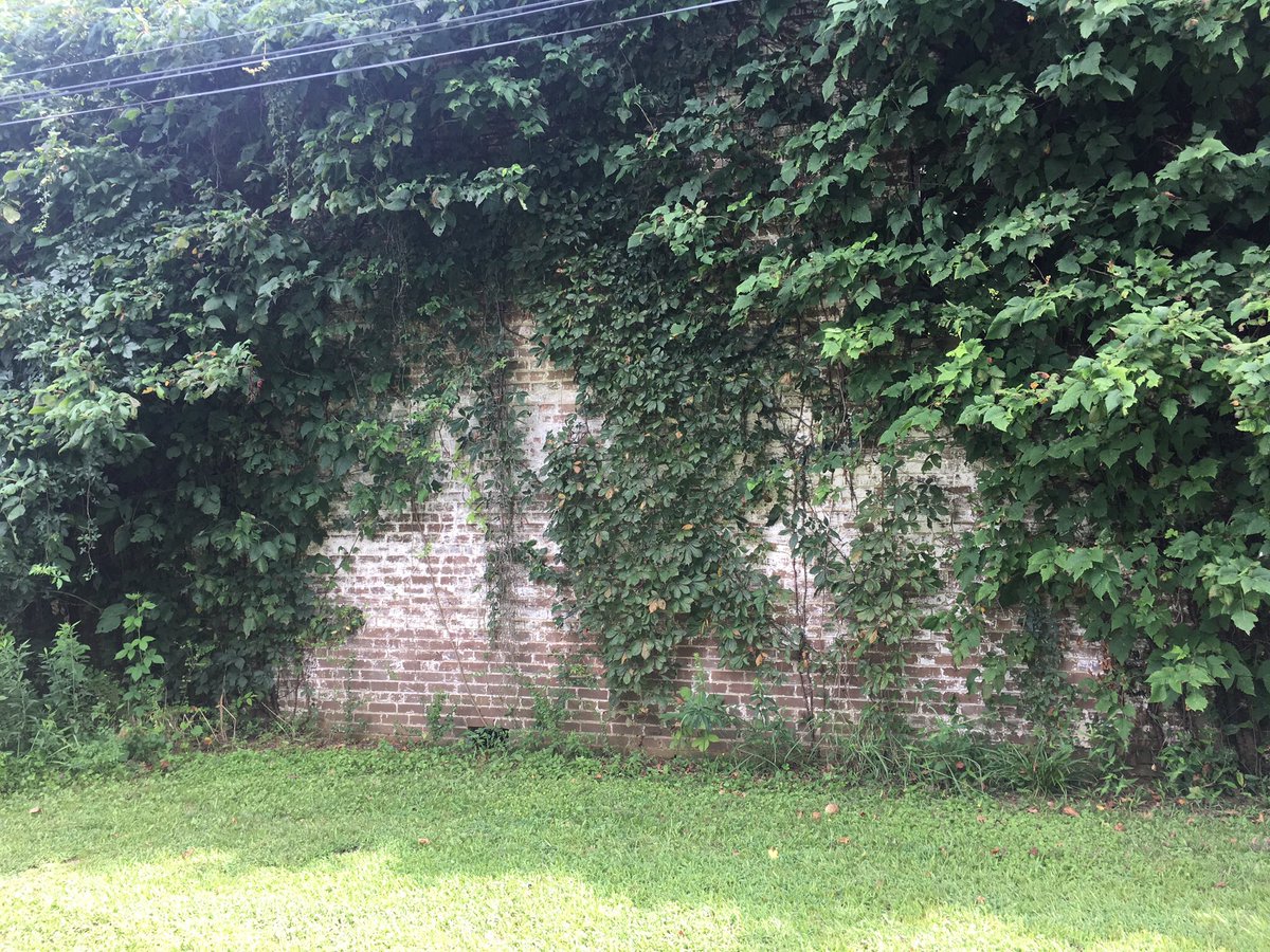 I had the opportunity to visit Money, MS last year. This is what remains of Bryant’s Grocery, the fateful spot where Emmett was accused by Carolyn Bryant. I was struck by how quiet and remote this place that changed the course of history was.