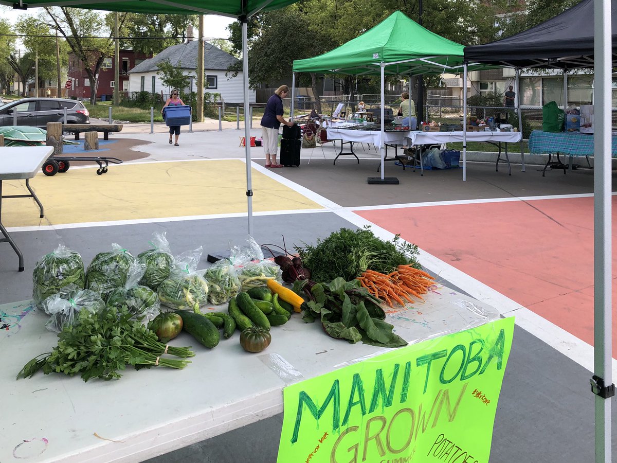 WPGFoodCouncil's tweet image. Earlier in summer the North End Food Security Network put out a call for produce for its Selkirk Ave market when a vendor fell through. For the last 3 wks we’ve been able to donate extra veg from the Meadowood Victory Garden to add more produce to their weekly market offerings.