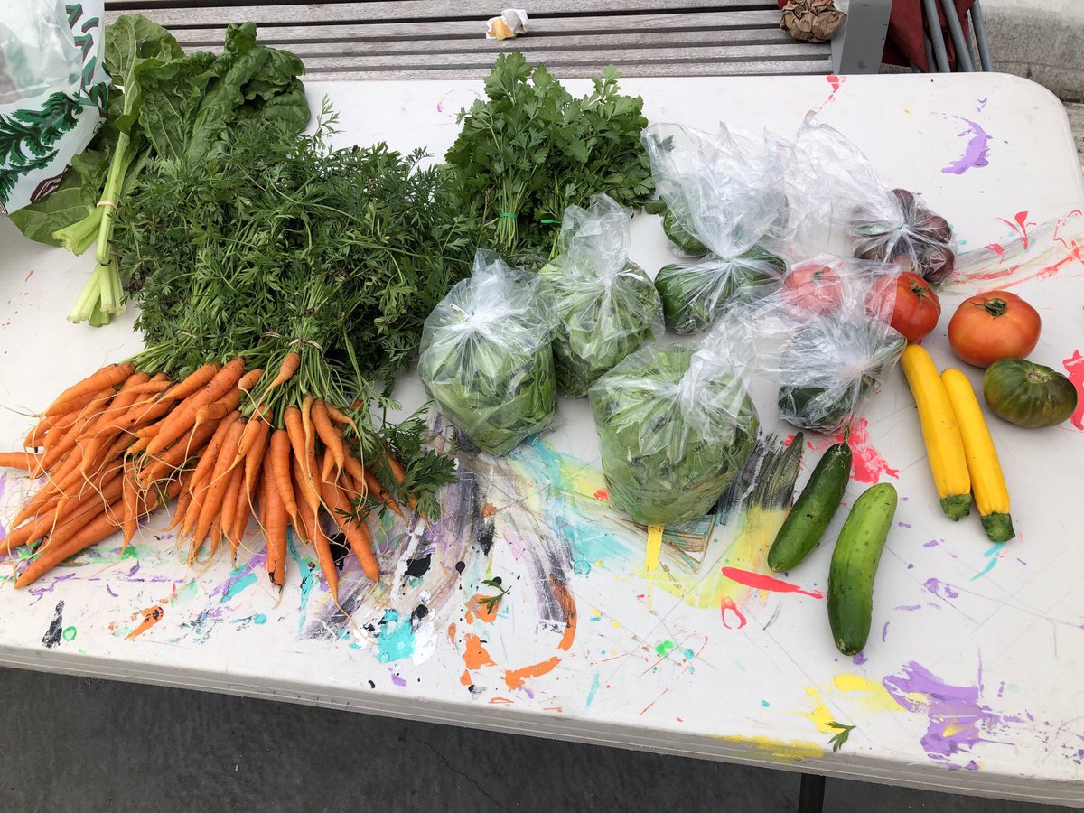 WPGFoodCouncil's tweet image. Earlier in summer the North End Food Security Network put out a call for produce for its Selkirk Ave market when a vendor fell through. For the last 3 wks we’ve been able to donate extra veg from the Meadowood Victory Garden to add more produce to their weekly market offerings.