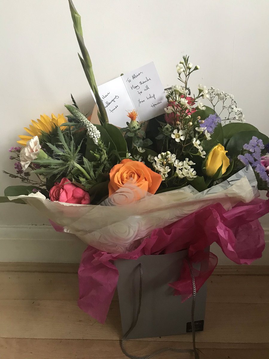 Allison Wood tweet media