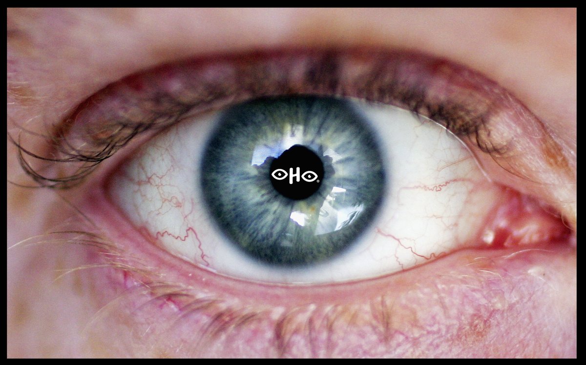 OHO_mx's tweet photo. ¡Estamos en todos lados! 👁️

#OhoenelOjo 

⬇️ ⬇️ ⬇️

Suscríbanse a nuestro canal de YOUTUBE ▶️

https://t.co/40PMQpiGM2 https://t.co/KDH9cduei2