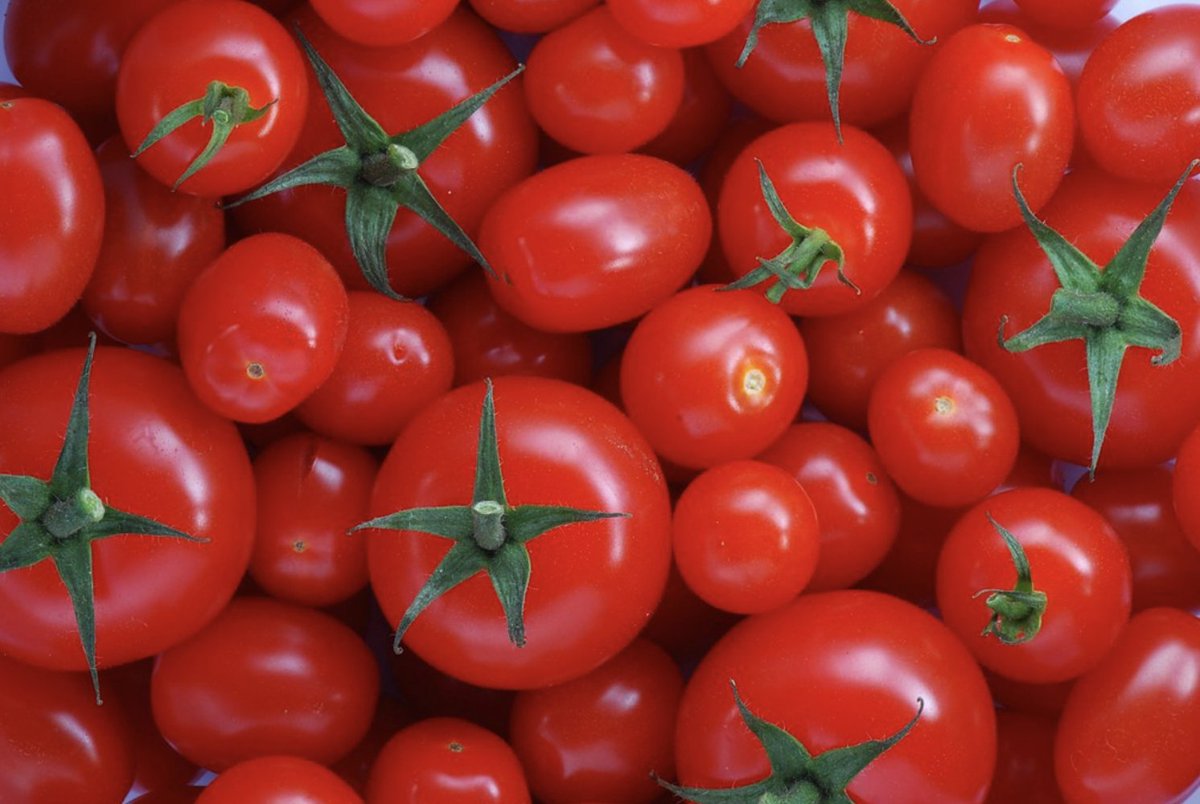 One answer is that it is not easy to count traits. For example, consider cell circumference and area. Are those two traits or one? For a harder example, consider the mutation that makes tomatoes ripen uniformly and also makes them taste bad. Sounds like pleiotropy, right? 2/17