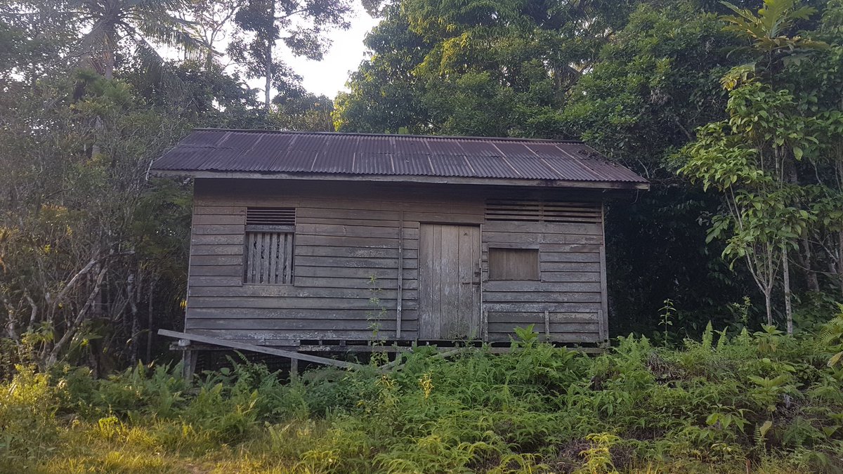 thebornean_'s tweet photo. @furisouru gimana dengan komplek ini coba, di tengah2 hutan, pas survey dipedalaman kalimantan barat, ketemu deretan rumah yg udah ditinggal sama orangnya. pas berenti di tengah2 hawanya dingin banget, hening padahal siang hari. https://t.co/59o2zZUkvD