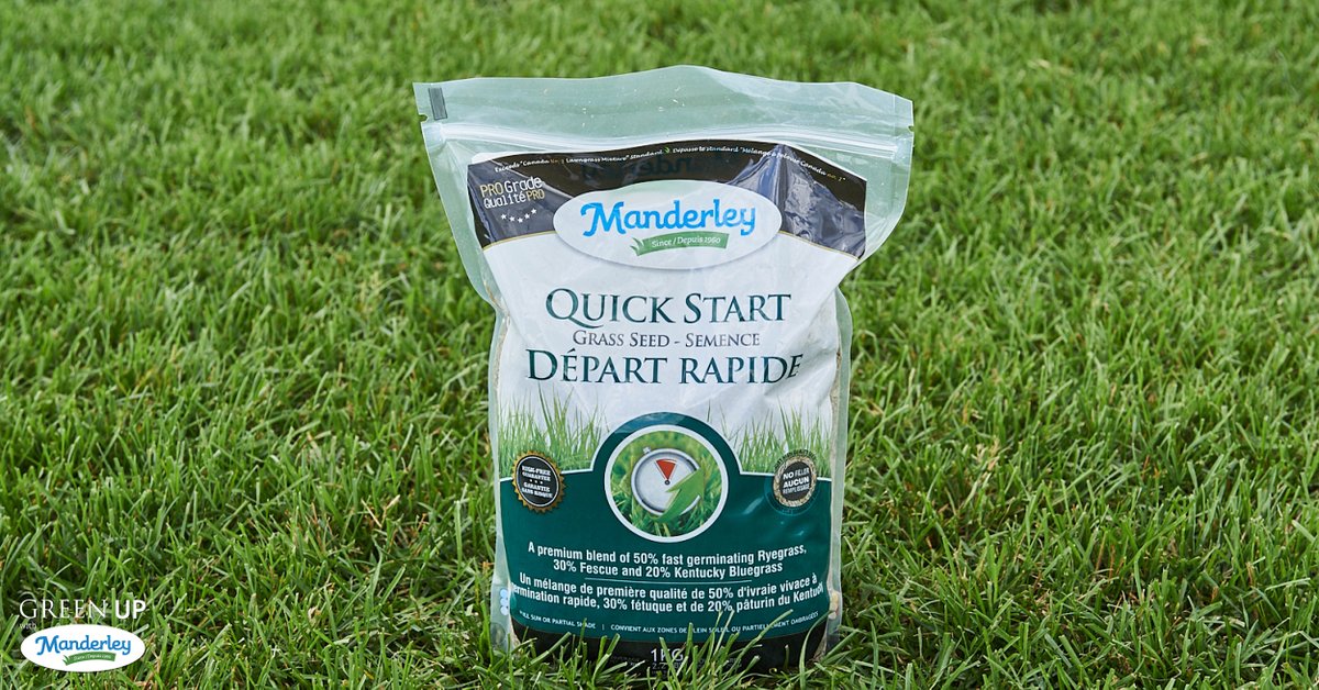 September is just around the corner but there’s still time to transform your outdoor space! You can repair your lawn from summer damage with our Quick Start grass seed as the weather starts to cool off. You can find out more on our website: manderley.com/lawn-garden-pr…
