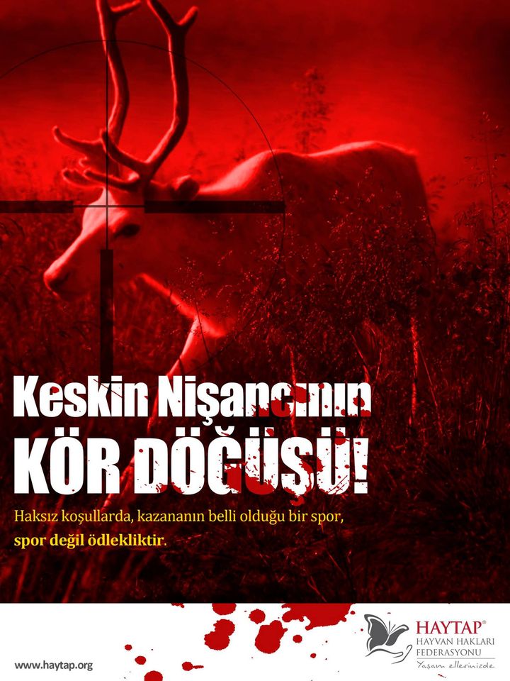 #NedenÖldürüyorsun
#haytap
#yaşamellerinizde