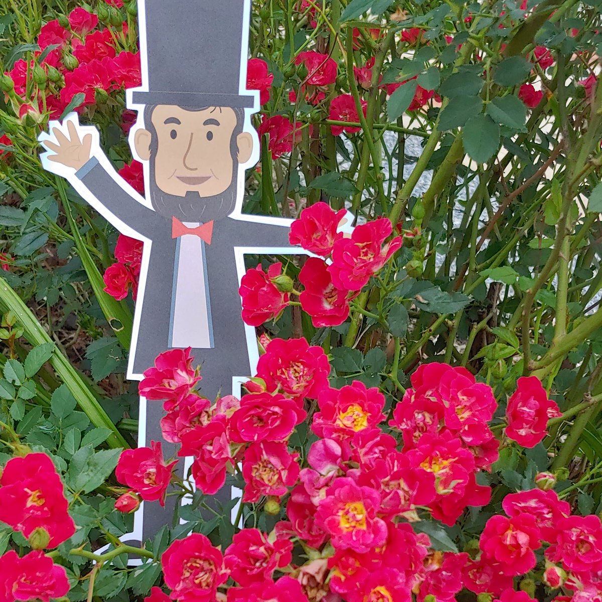 GeorgesonYorkBB's tweet photo. Happy Friday from @GeorgesonYorkBB! #lillincoln is chillin' in the garden and looking for some friends to hang with. #destinationgettysburg @GettysburgNews https://t.co/Gi1Ly6Xlv8