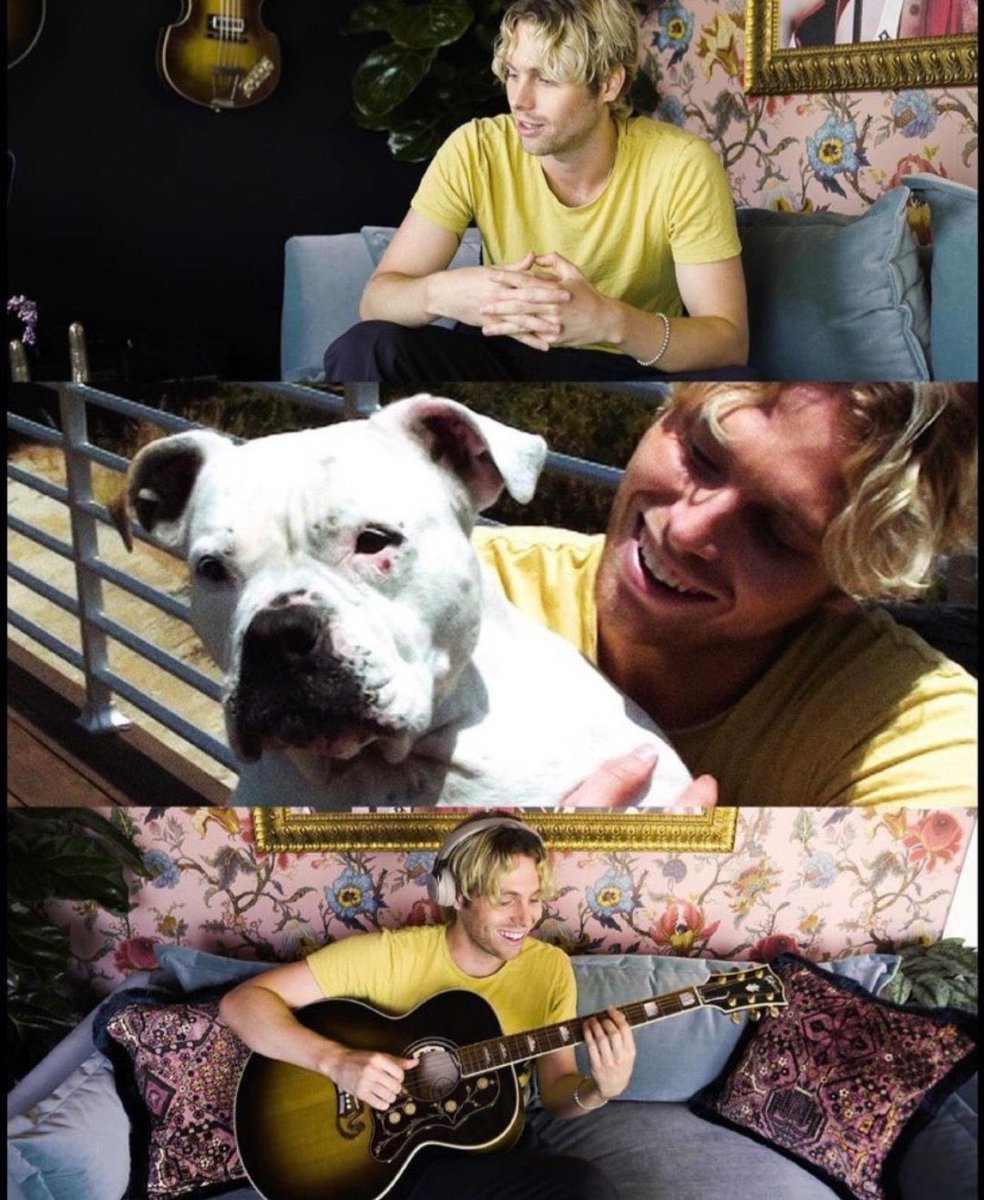 hugs4zelink's tweet image. not to be dramatic but i would die for petunia 😀 #STREAMBESTYEARS #OLDMEMV #5SOSRedTeam #THANKSFORBESTYEARS #Red5SOS