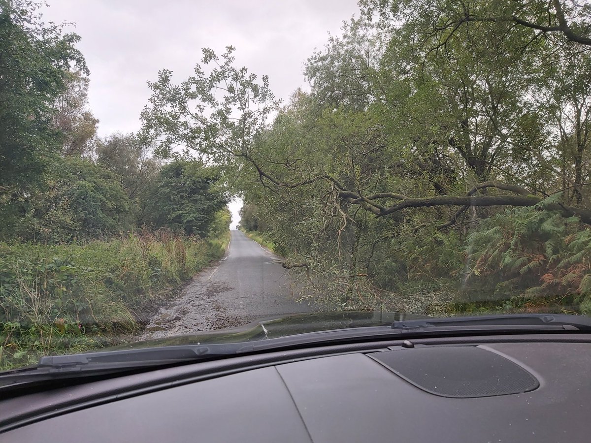 Cake junkie tweet media