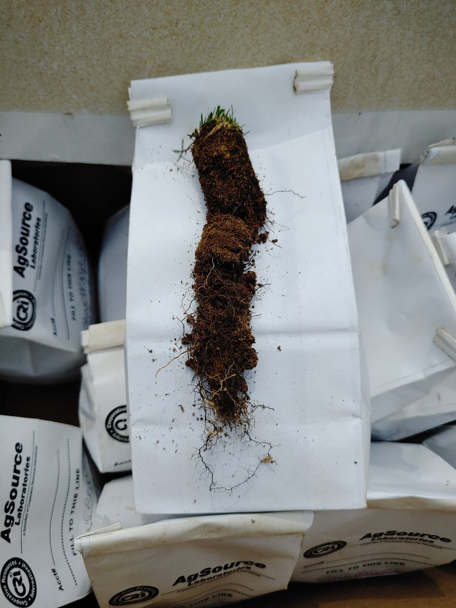 kenkraus2's tweet photo. Cart traffic funnel stands up to 20,000 cart passes in 120 days and no pump 10 days July. @redcowbells @StonebridgeGLCC #AaNswer #NatBio #IslandBio https://t.co/mfKXlyE25Z