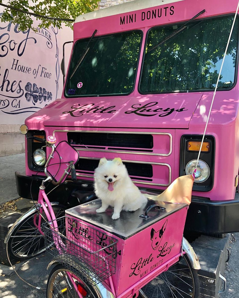 LoveLittleLucys's tweet photo. Use Your Opposable Thumbs & ๐๐๐ฉrder FREE Doggy Donuts for Your Pup ๐ถ Pets & Kids Eat Free when You Order Takeout Online ๐ฒ Available at 2 Different Locations โก๏ธ #RaineyStreet & @TheDomainAustin๐
๐ธ๐๐: @escothepom
.
.
.
#ATXpets #ATXkids #KeepAustinEatin #ATXfoodtrucks https://t.co/Aa7eBUmq8S