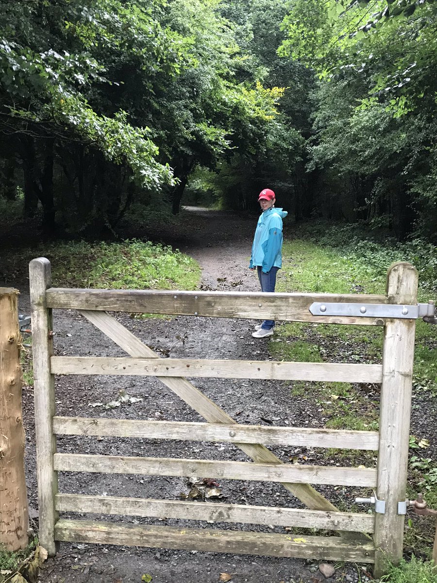 KBNeuroinfo's tweet photo. #AHPsActive #WeActiveChallenge Early evening walk, definite Autumnal feel #ABAHPsActive https://t.co/FZrHmvag76