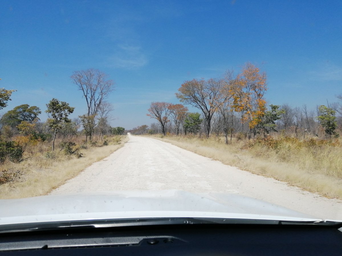 We drove to Mohembo, Ghani, Chukumuchu, on gravel road which was much better than the Maun Shakawe road. The scenery was beautiful.Spotted lots of cattle on the road and no elephants, yet there are lots of them in the area.