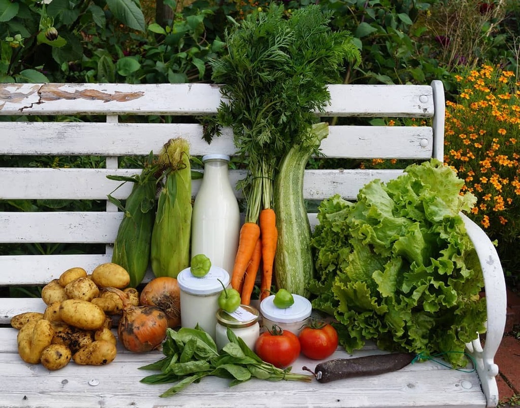 Der Anteil von Heute. Guten Appetit! 

#mehralsmittelzumleben#solawi #solidarischelandwirtschaft #csa #communitysupportedagriculture #biohof#regional #saisonal #biogemüse #spreadsolawi #emsland #papenburg #nachhaltig #enkeltauglich instagr.am/p/CEcWBUUAm3l/