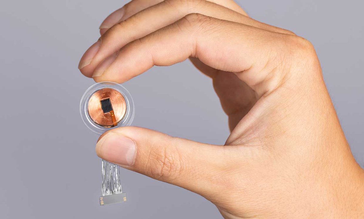 IEEE Spectrum tweet media