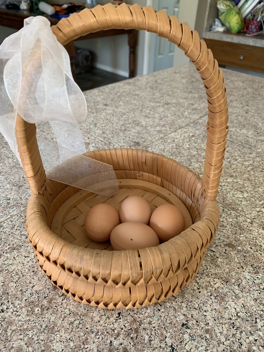 HotzEmilia's tweet photo. Wilson chickens are laying eggs!!! #WilsonWay https://t.co/RyZeQFsnEG
