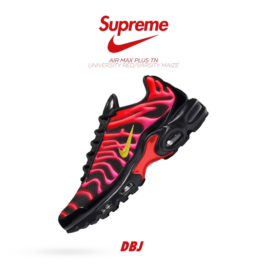 Nike Air Max Plus TN Supreme Shoes