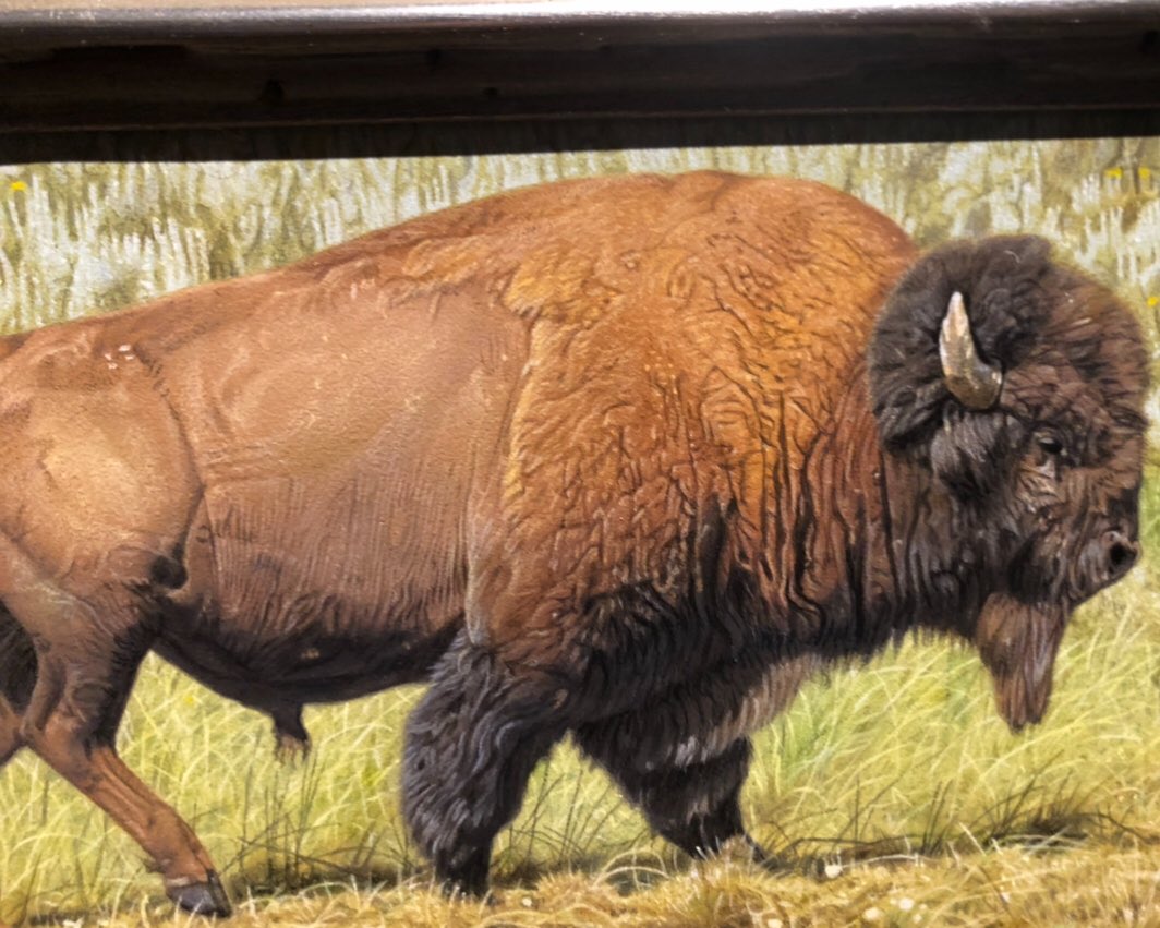 National Cowboy & Western Heritage Museum tweet media