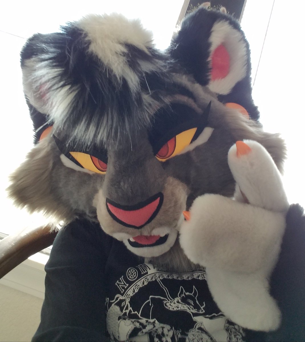 bareyourtxxth's tweet photo. Happy #fursuitfriday !! Unfortunately tomorrow is #worksaturday ...
✂️: @DontHugCacti
#DailyDHC #fursuiting https://t.co/UFzT5MlqNc