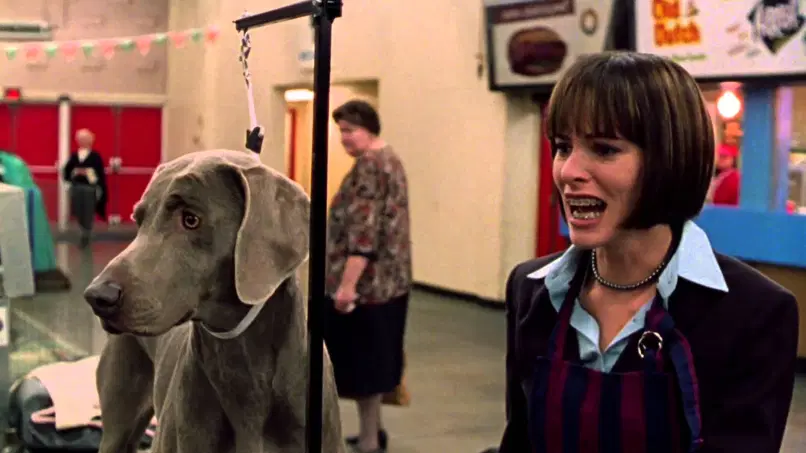 circling back to that Busy Bee scene, Beatrice the dog is real living proof that acting is re-acting