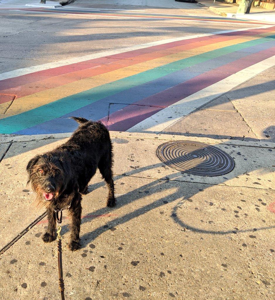 The dry-off walk.  – bei  Oak Lawn