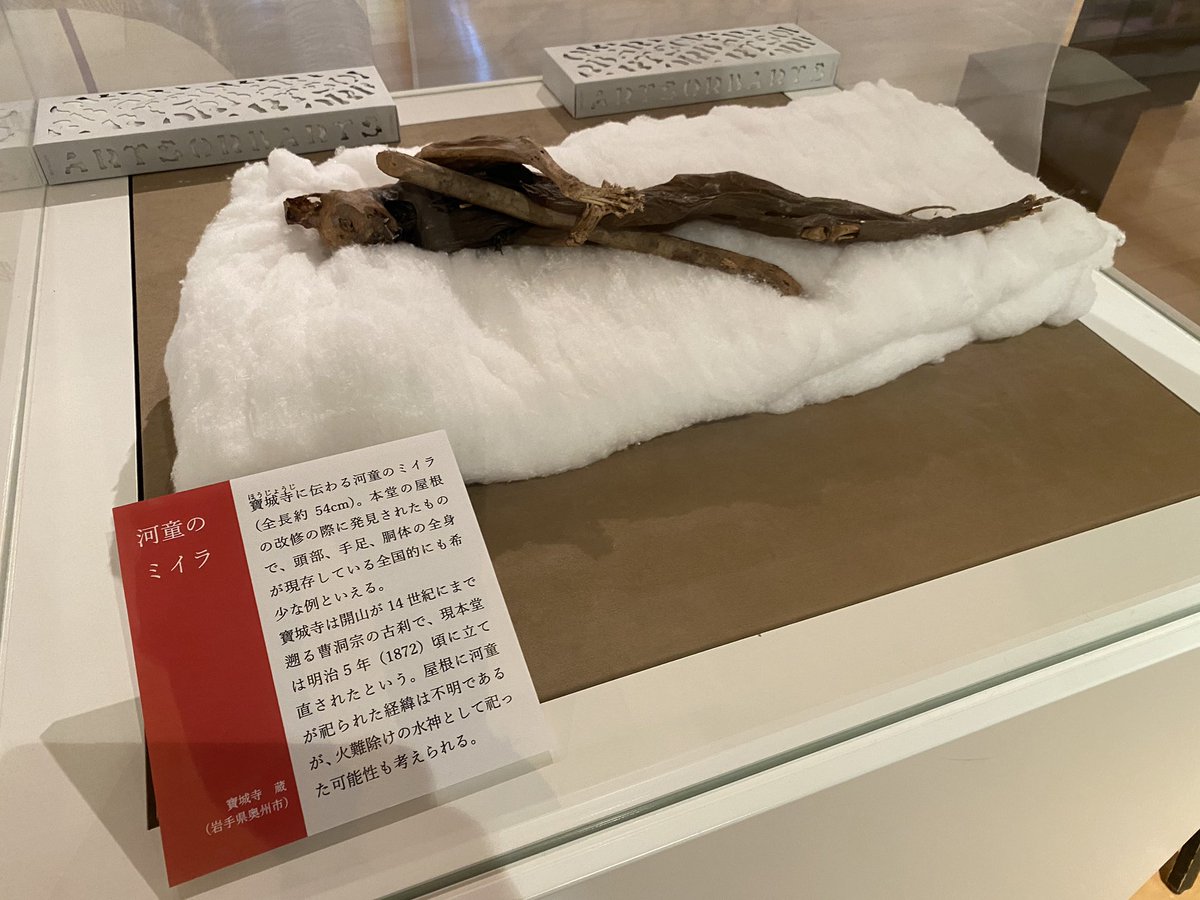 Lssah 遠野市立博物館特別展 遠野物語 と怪異 実物展示で興味深いのはケサランパサラン 他は弘前 八戸 両藩のコレクションからの借り物が多い 島津から迎えた蘭癖藩主が標本コレクターとの逸話は興味深い 河童のミイラは猫では 明日8 30迄