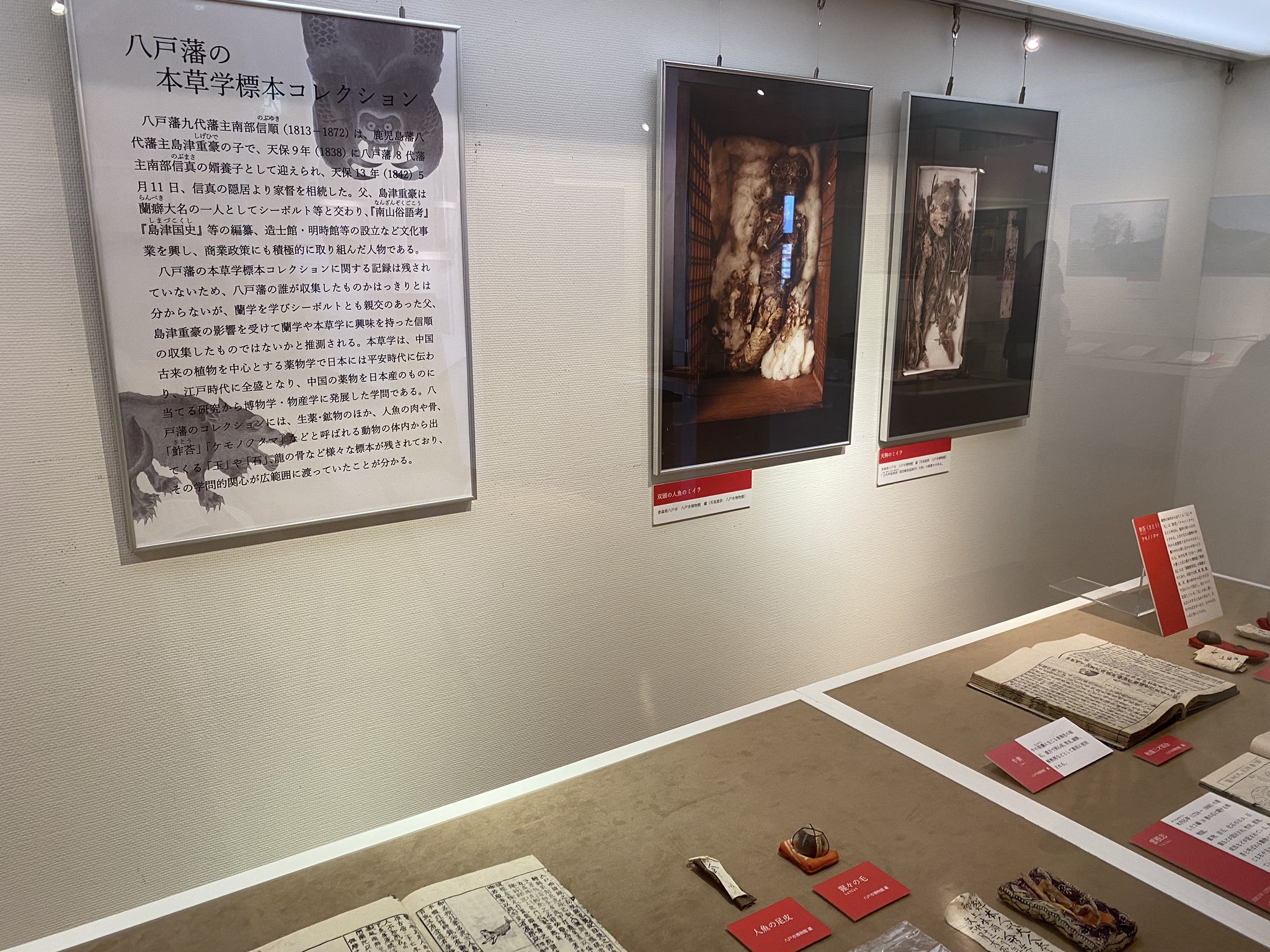 Lssah 遠野市立博物館特別展 遠野物語 と怪異 実物展示で興味深いのはケサランパサラン 他は弘前 八戸 両藩のコレクションからの借り物が多い 島津から迎えた蘭癖藩主が標本コレクターとの逸話は興味深い 河童のミイラは猫では 明日8 30迄