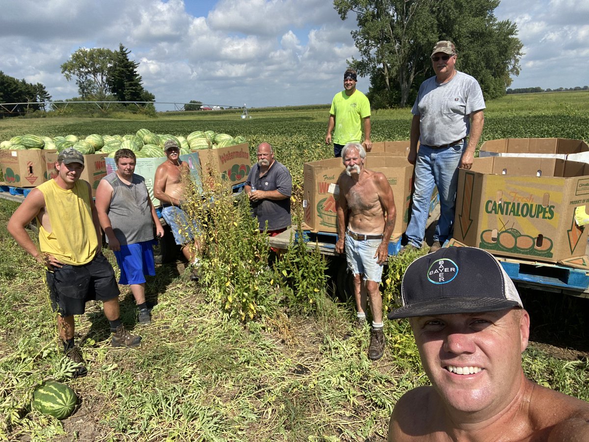 michael_kelly00's tweet photo. Oof! The heats about to break and the crew made it! #mitchellmelons https://t.co/8jFW0nmczg