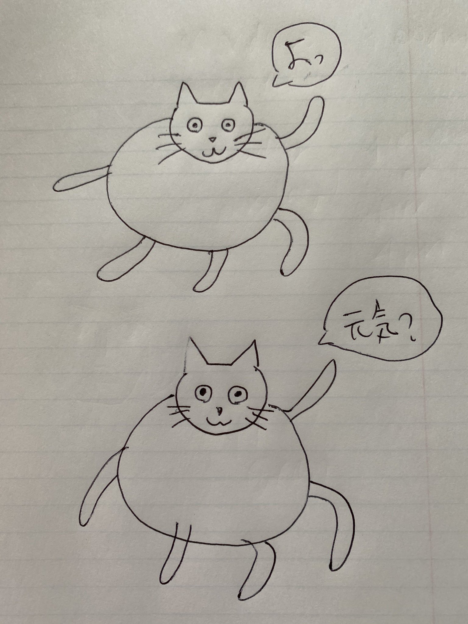 球体の生き物が気さくな挨拶をしているみたい 体が柔らかすぎて見る者を混乱させる猫 話題の画像プラス 球体の生き物が気さくな挨拶をしているみたい 体が柔らかすぎて見る者を混乱させる猫 話題の画像プラス