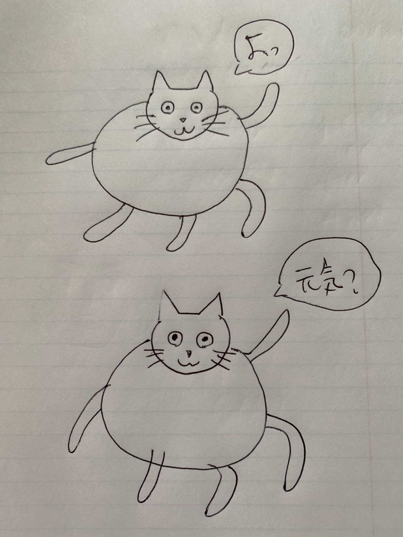 球体の生き物が気さくな挨拶をしているみたいwww体が柔らかすぎて見る者を混乱させる猫？www