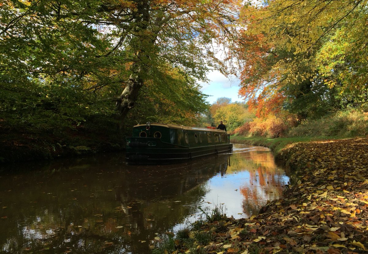 Great news! We've added more holidays on to the autumn season so now you can go boating on the Mon & Brec canal until 16th November. Hopefully, there'll be some gorgeous autumn colours again this year. bit.ly/3bdzuO0 #loveMonmouthshire #BreconBeacons #staycation