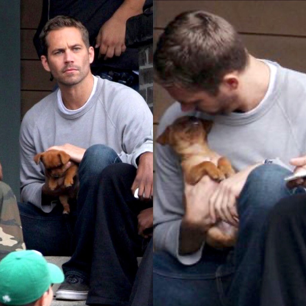 Timeline cleanse. 🐶 #FastandFurious6 #BTS #FBF

#TeamPW