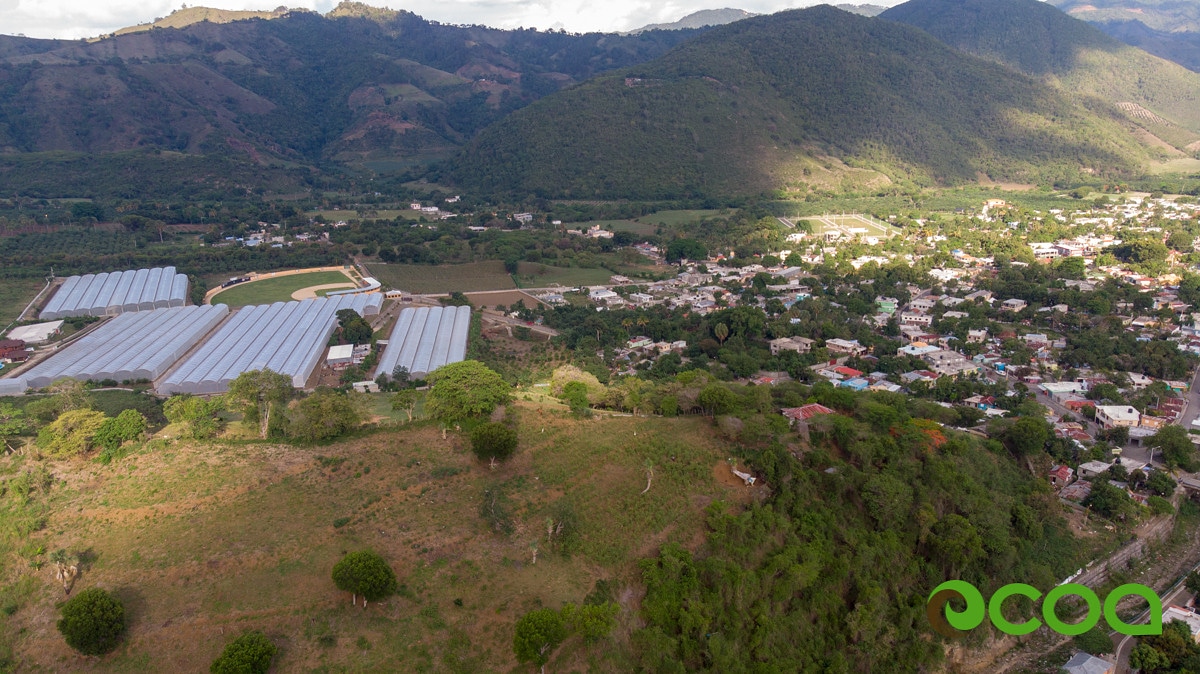 visitocoa's tweet photo. Ocoa desde #LasAlturas que te parece? Te animas a visitarnos?
#Visitocoa 
#OcoaEsParaDescubrirlo 
#Paraiso 
#Ecoturismo https://t.co/EivQE21knk