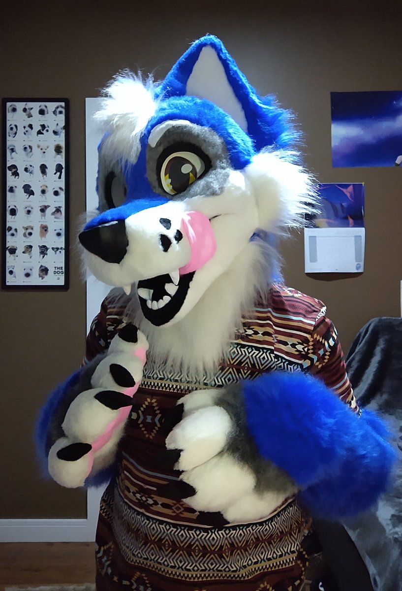 CaracalCreate's tweet image. Blue wolf is still looking for their new forever home! Will you take this puppy with you? 💙🐺 Link in my pinned tweet!
#FursuitFriday